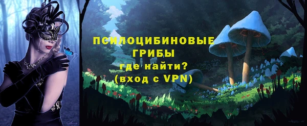 дживик Белоозёрский