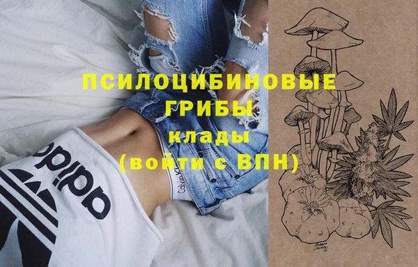 spice Балабаново