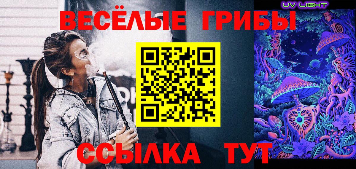 наркотики  Вход с VPN  Псилоцибиновые грибы MAGIC MUSHROOMS  Калуга  Галлюциногенные грибы Cubensis 